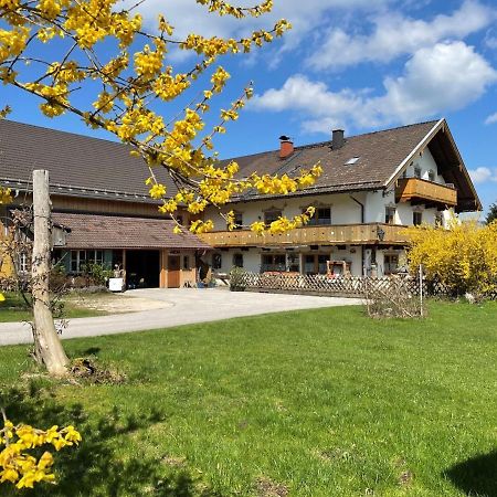 Ferienwohnungen Dopplerhof Piding Bagian luar foto